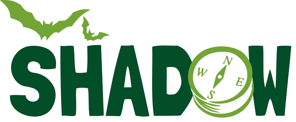 The shadow logo, with a compass instead of the O and bats flying above the word